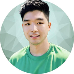 Analyst Developer