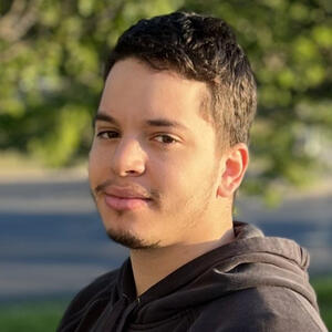 Software Developer